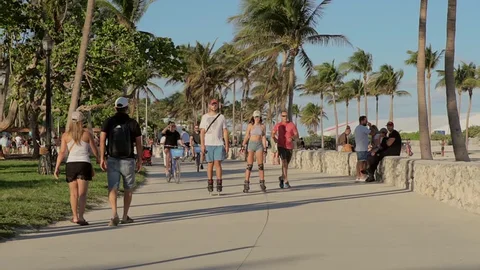 Personas caminando, en bicicleta o patinando por un sendero soleado bordeado de palmeras cerca de la playa. Algunos llevan ropa informal de verano.