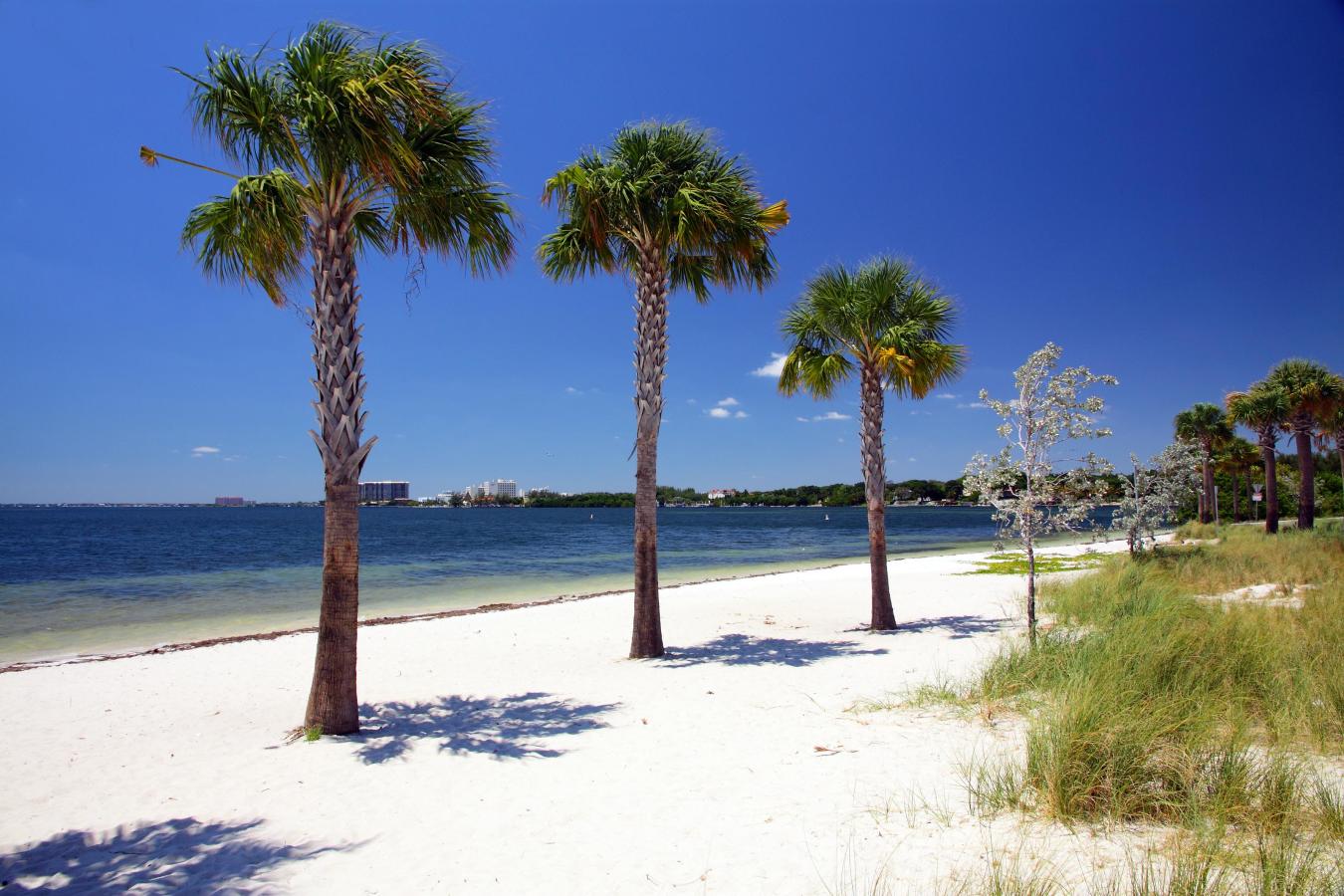 Hobie Island Beach Park: un paraíso amigable con mascotas en Miami