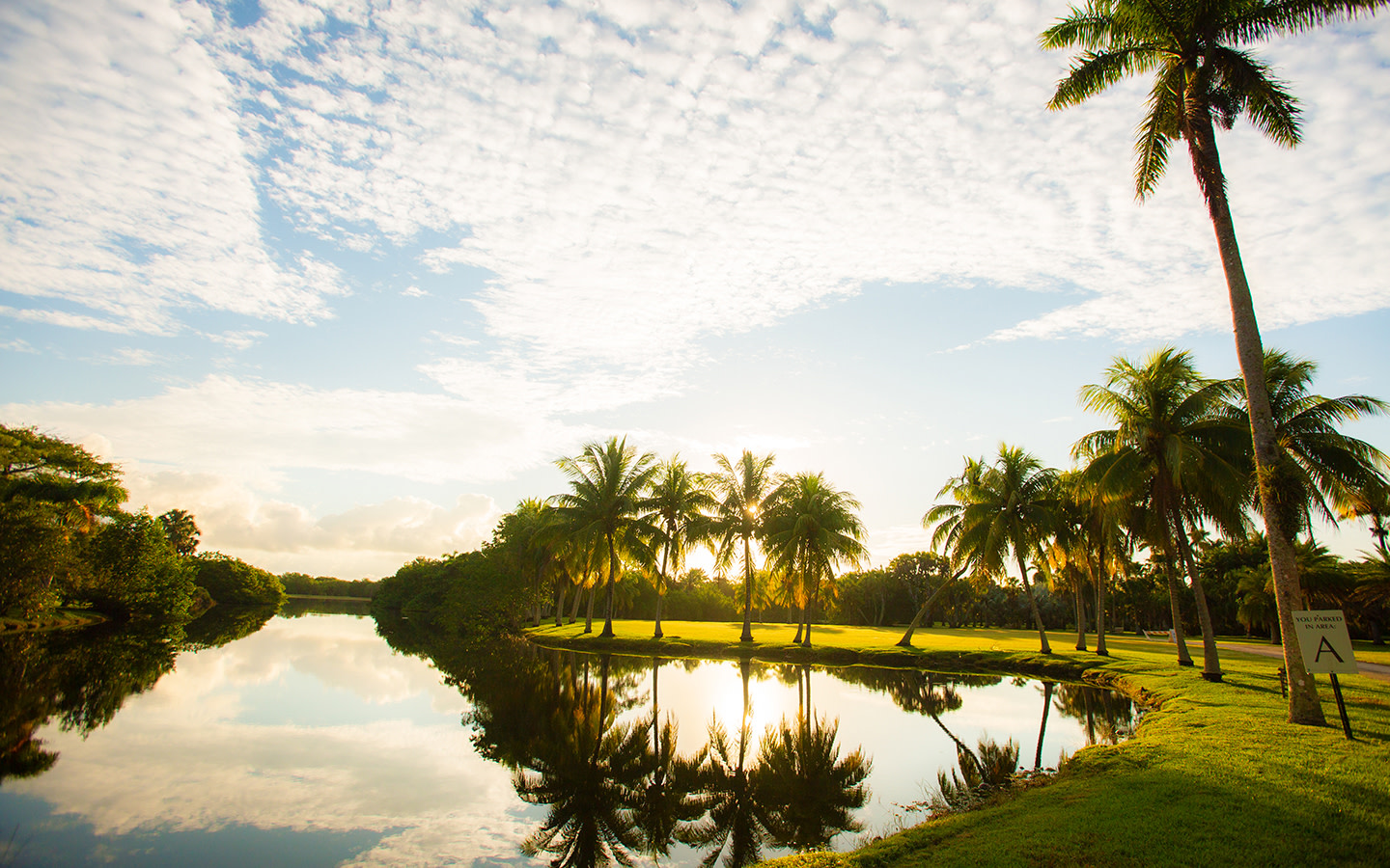 Explora el Encanto del Fairchild Botanical Garden este Invierno: Naturaleza, Luces y Magia en Miami