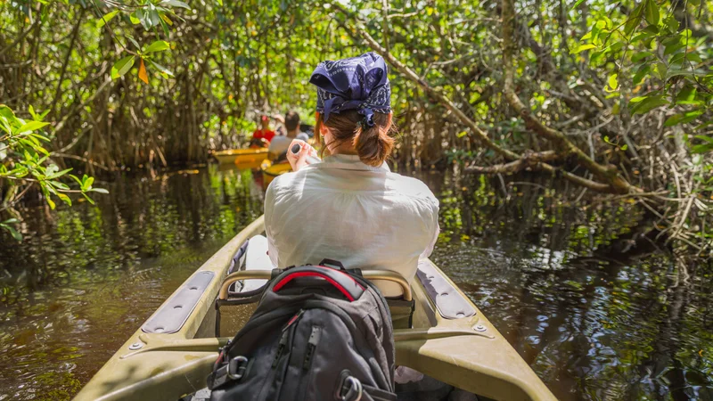 Parque Nacional Everglades