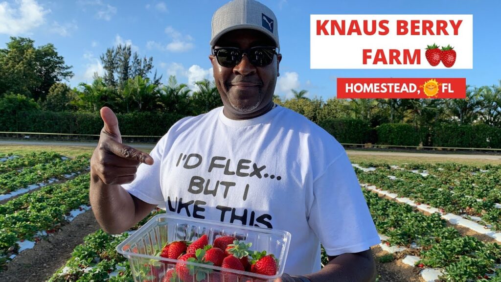 Knaus Berry Farm