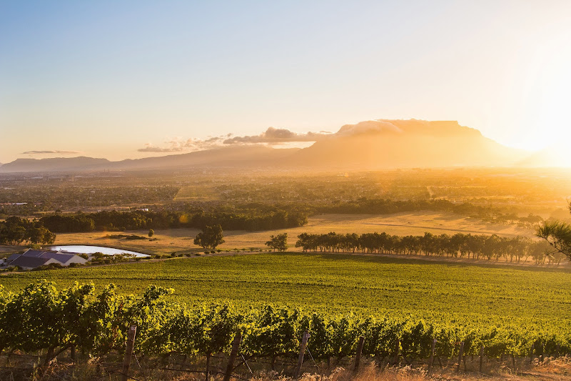 La Bodega De Grendel: el lugar donde el vino cuenta historias y el paisaje enamora 💕🌍