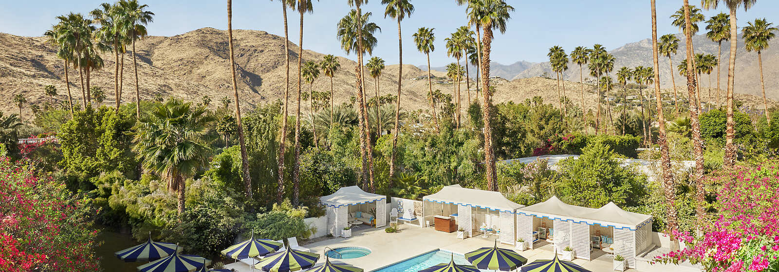 🏜️ Escápate al Parker Palm Springs Resort: Lujo y Magia en el Desierto