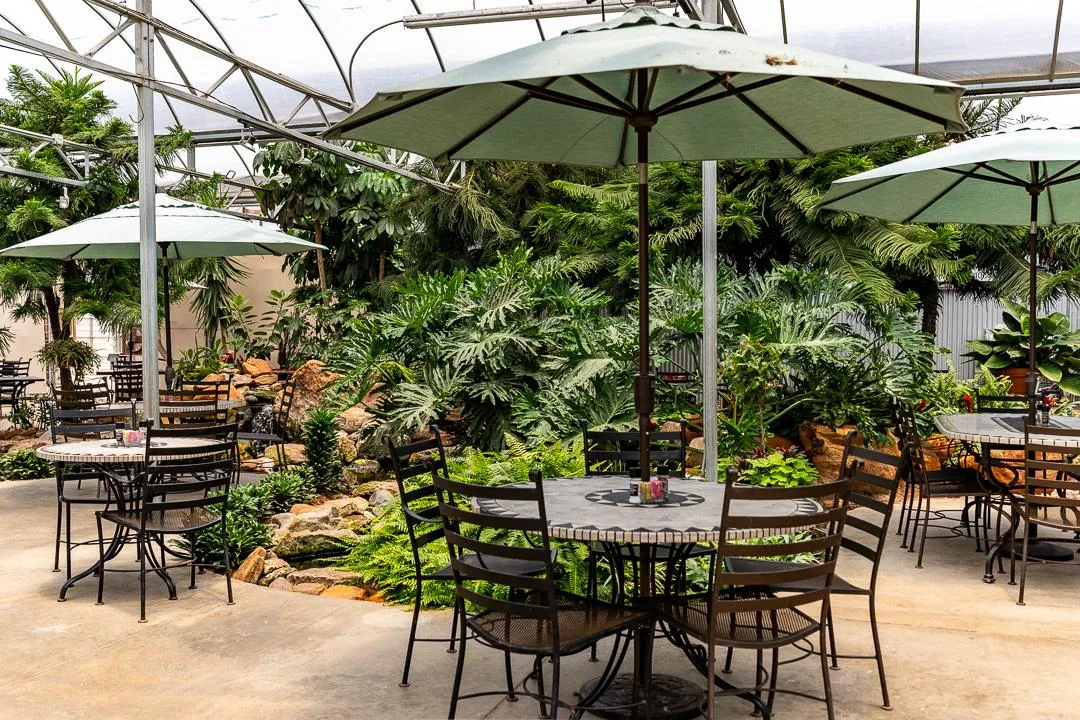 🌿 The Garden Café (Dallas): Un rincón secreto para disfrutar de la mejor comida casera