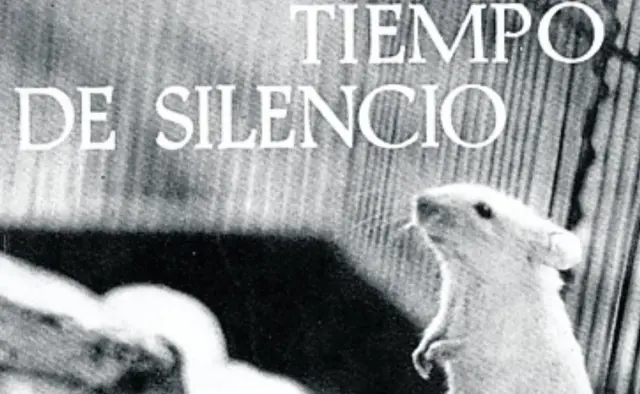 Tiempo de silencio